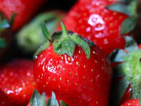Ripe strawberry Stock Photos