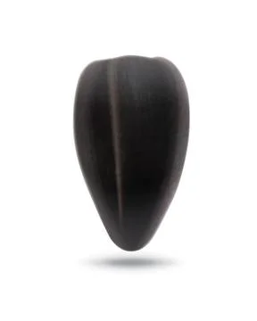Ripe sunflower seed Stock Illustration