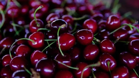 Ripe sweet cherries growing on tree branches in sunny orchard during summer Stock Footage 346635336