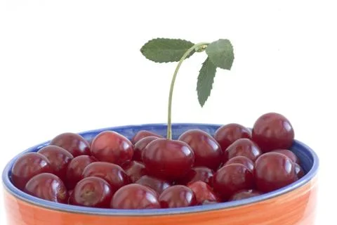 Ripe sweet cherry Stock Photos
