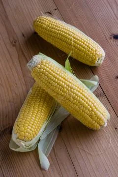 Ripe sweet corn Stock Photos