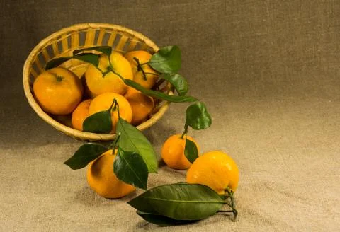 Ripe tangerines in the basket Stock Photos