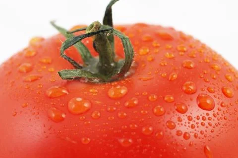 Ripe tomato closeup Stock Photos