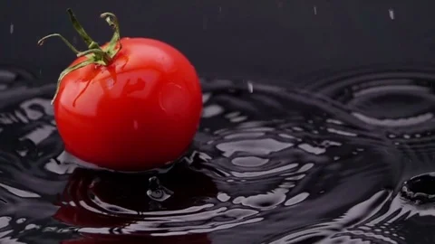 Ripe Tomato Falls on the Table. Vidéo 73551633