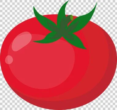Ripe tomato, flat illustration Illustration