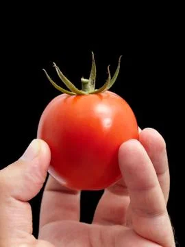 Ripe tomato Stock Photos