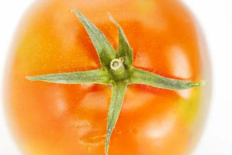 Ripe tomato Stock Photos