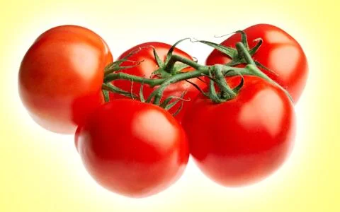 Ripe tomato Stock Photos