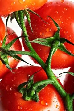 Ripe tomato Stock Photos