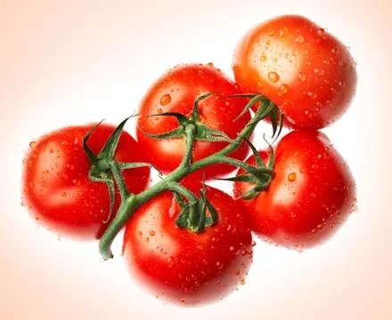 Ripe tomato Stock Photos