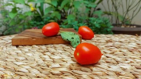 Ripe tomato. Stock Photos