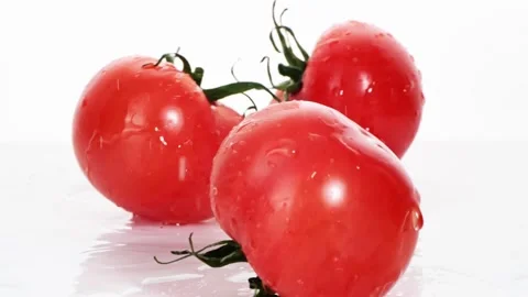 A ripe tomatoes are falling on the white table, splashing water drops. Stock Footage 147380039
