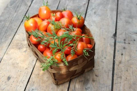 Ripe tomatoes in basket Stock Photos