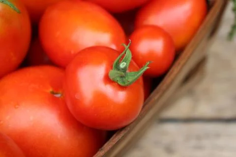 Ripe tomatoes in basket Stock Photos