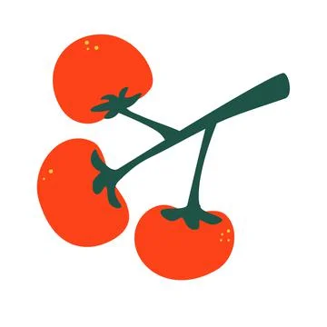 Ripe tomatoes on a branch. Set of red tomatoes. Set with hand drawn colorful Stock Illustration