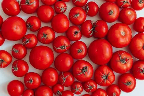 Ripe tomatoes of different size pattern on white background with copy space.  Stock Photos