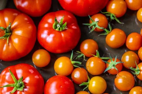 Ripe tomatoes in different sizes. Stock Photos