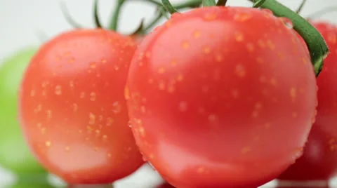 Ripe tomatoes 스톡 동영상 34034264