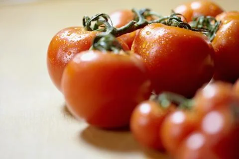 Ripe of tomatoes on kitchen table Stock-Fotos