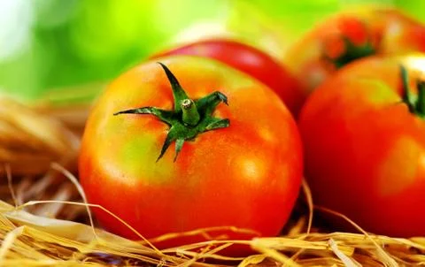 Ripe tomatoes Stock Photos