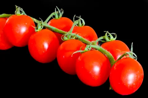 Ripe tomatoes Stock Photos