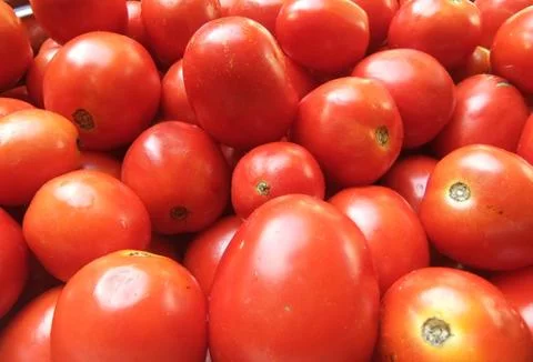 Ripe tomatoes Stock Photos