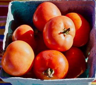 Ripe Tomatoes Stock Photos