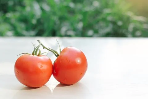Ripe tomatoes Stock Photos