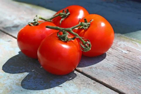 Ripe tomatoes on a rustic old table Stock Photos