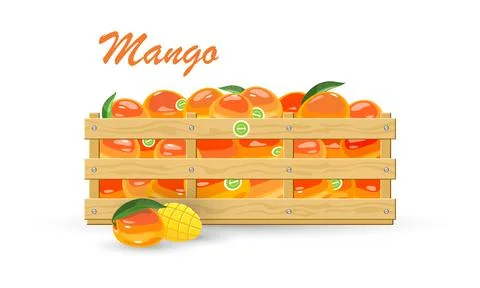 Ripe tropical fruit mango Stock Illustration