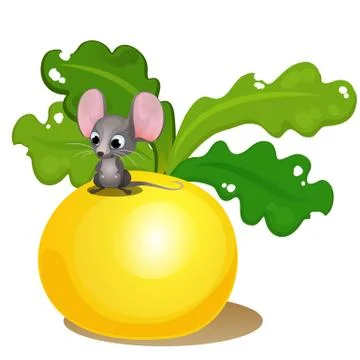 Ripe turnips and a small mouse isolated on white background. Vector cartoon Stock Illustration