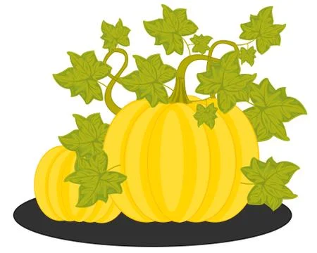 Ripe vegetable melon on white background is insulated Stock Illustration