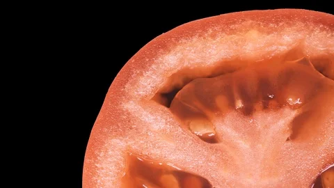 Ripe the vegetable tomatoes on isolated background Stock Footage 101923503