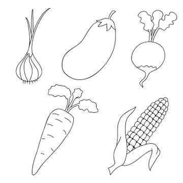 Ripe vegetables on a white background. Stock Illustration