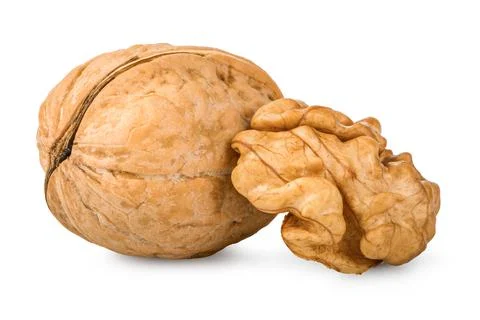 Ripe walnut close up Stock Photos