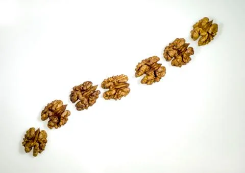 Ripe walnut kernel peeled close up Stock Photos