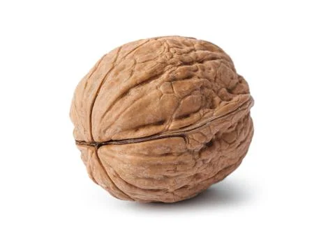 Ripe walnut Stock Photos