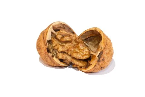 Ripe walnut, shell split open, isolated on white Foto stock