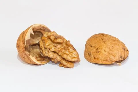 Ripe walnut, shell split open, isolated on white Foto stock
