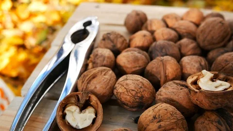 Ripe walnuts with a nutcracker lie on a wooden table Stock Footage 119974429