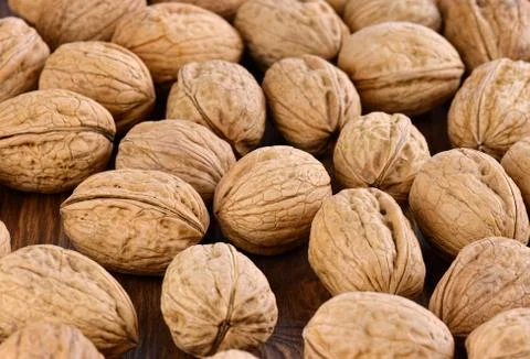 Ripe walnuts Stock Photos