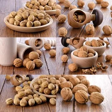 Ripe walnuts Stock Photos