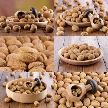 Ripe walnuts Stock Photos