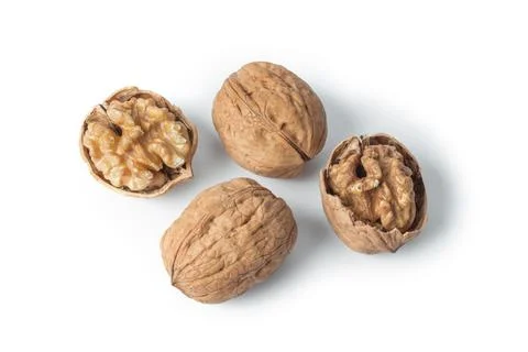 Ripe walnuts Stock Photos