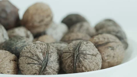 Ripe walnuts on pile 4K focus pulling video Stock Footage 170113475