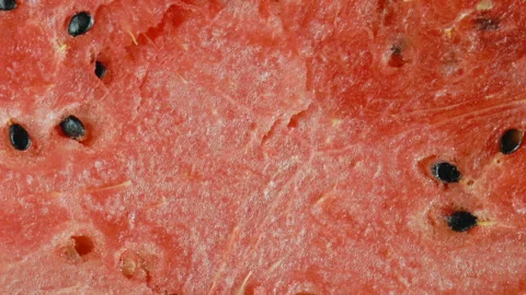 Ripe watermelon close-up Stock Footage 94699656
