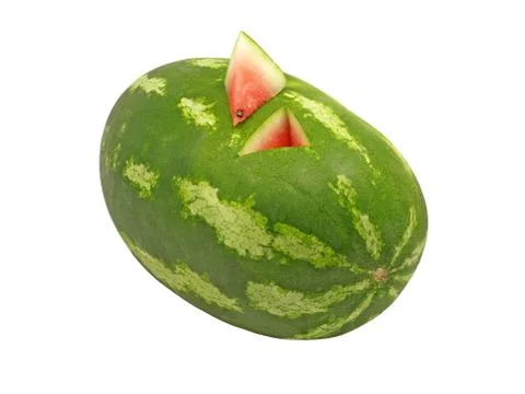 Ripe watermelon. Stock Photos