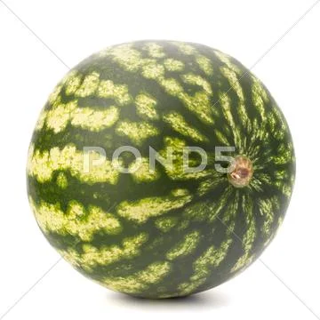 Ripe watermelon Stock Photos