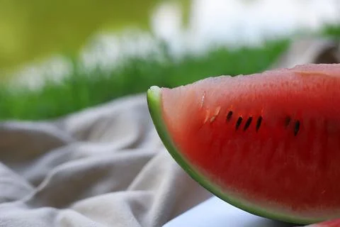 Ripe watermelon Stock Photos