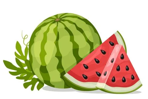 Ripe watermelon with a slice and a triangle on a white background. Stock Illustration